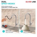 Gooseneck Pull-Down Kitchen Sink Faucet with Two-Function Spray Head - Silver Line - features