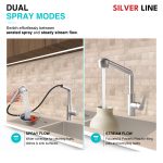Pull-Out Kitchen Sink Faucet with Two-Function Spray Head - Silver Line - features
