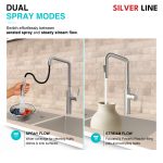 Angled Pull-Down Kitchen Sink Faucet with Two-Function Spray Head - Silver Line - features