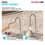 Spiral Coil High-arc Pull-Down Kitchen Sink Faucet with Two-Function Spray Head - Silver Line - features